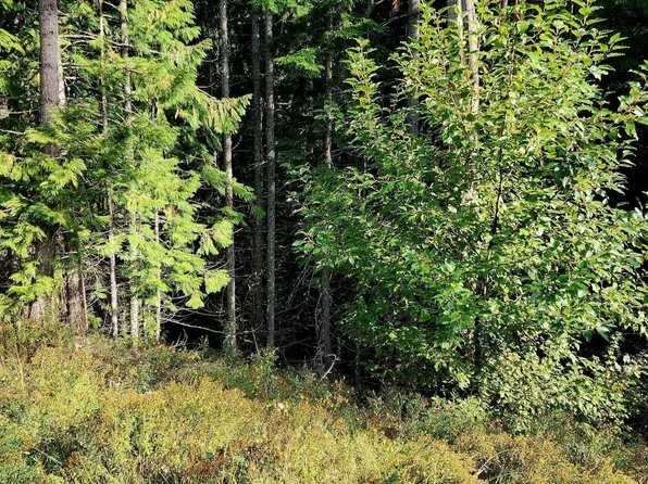 0 Alder Way, Saint Maries, ID 83861