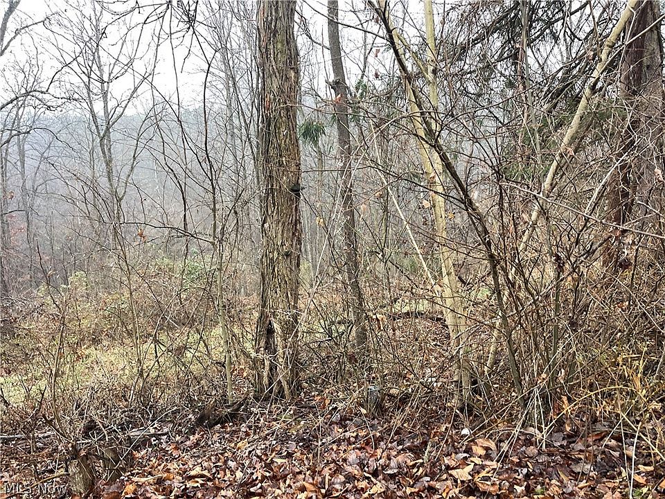 1st image of 16 Woodcliff Dr
