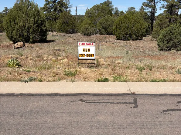 700 S Creekside Dr, Show Low, AZ 85901