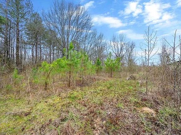 5th image of 528 Harris Rd