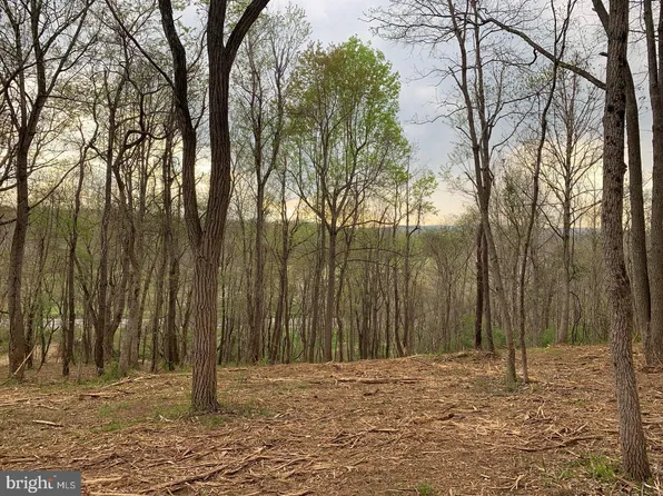 Winchester Rd, Delaplane, VA 20144