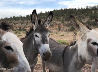 10747 Espee Rd, Williams, AZ 86046