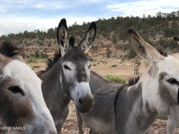10747 Espee Rd, Williams, AZ 86046