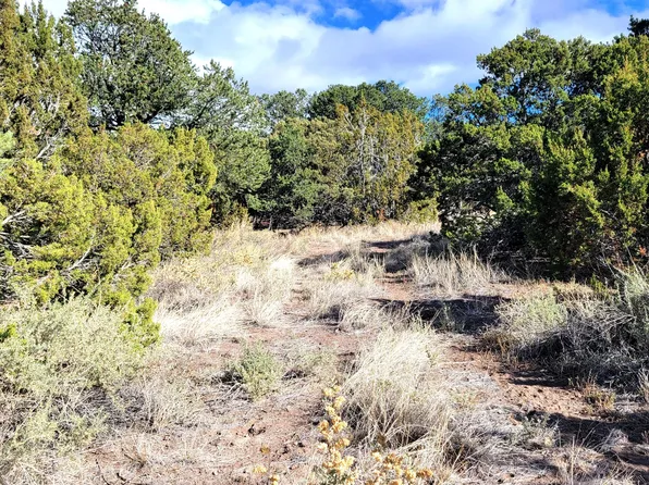 Tbd Spanish Trl, Eagar, AZ 85925