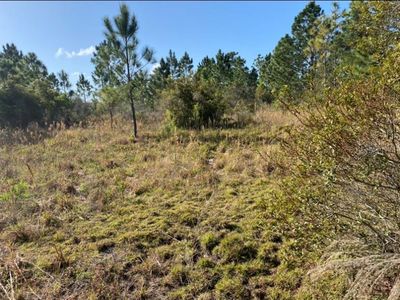 18638 Reynolds Pkwy, Orlando, FL, 32833