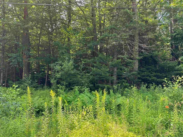 107 Wheeler Road, Halifax, VT 05358