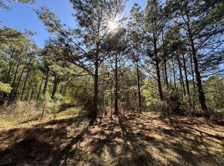 341 County Road 3891 S, Cleveland, TX 77328