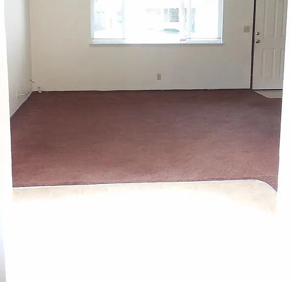 461 & 463 S 49th Pl — Photo 14