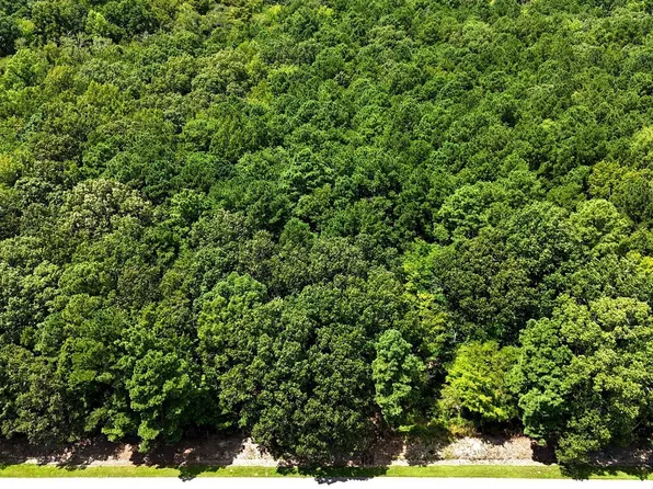 Boat Ramp Rd Lot 4, New Hope, NC 27944