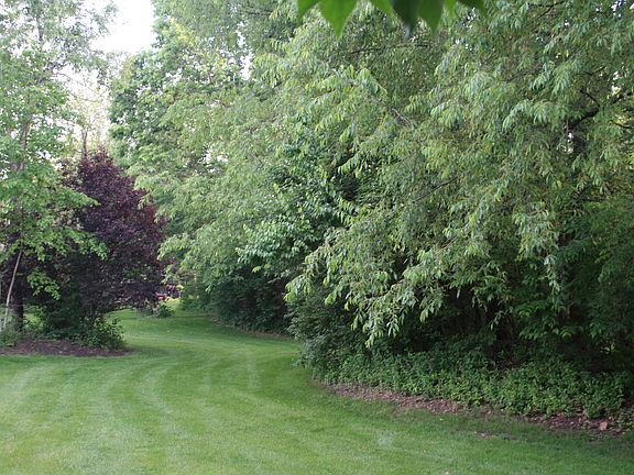 PARK-LIKE SETTING 