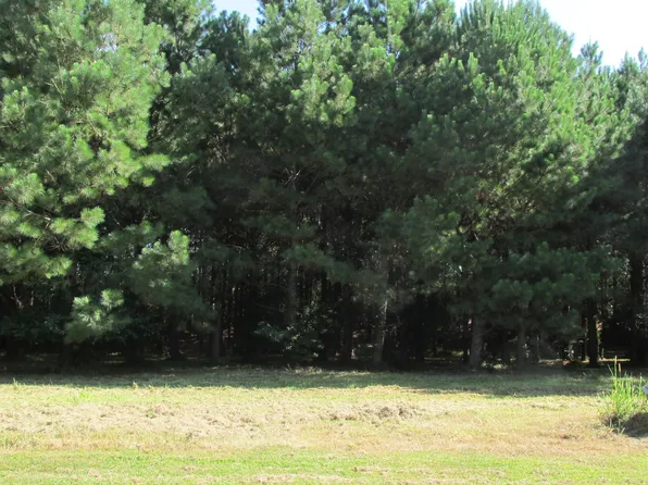 134 W Grandiflora Drive, Wallace, NC 28466