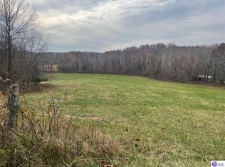 1448 Burton Huff Rd, Falls Of Rough, KY 40119