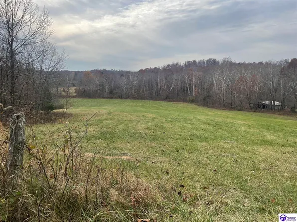 1448 Burton Huff Rd, Falls Of Rough, KY 40119