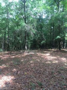 0 Howells Ferry Rd, Wilmer, AL, 36587