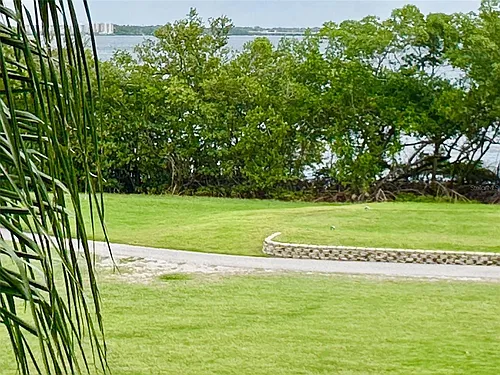 2617 Cove Cay Dr Photo 1