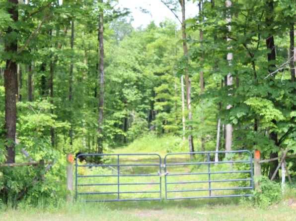 0 Soderquist Rd, Mancelona, MI 49659