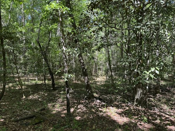 Our Dream Ln, Walterboro, SC 29488