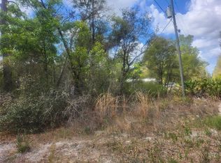 NE 236th Ln, Fort Mc Coy, FL 32134