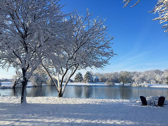 Winter Paradise!