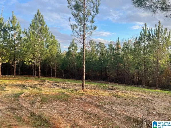 220 Saddlewood Trails Pkwy #1, Columbiana, AL 35051