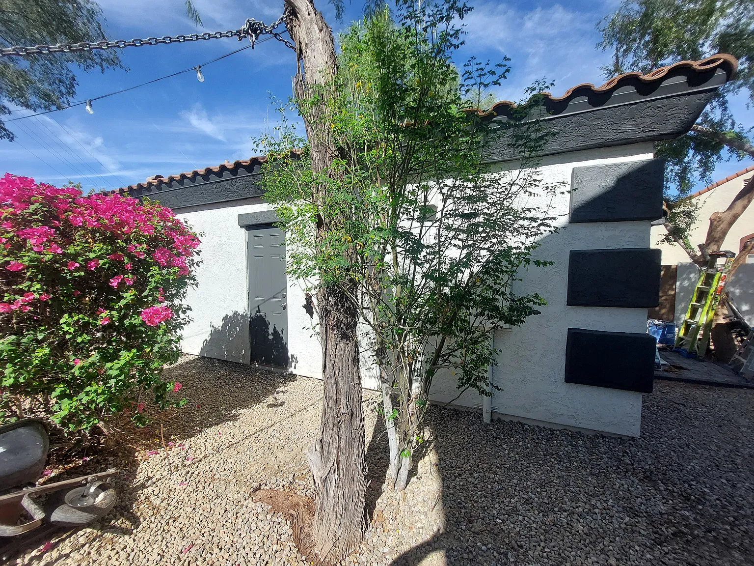 Beautiful mature trees and bushes in the landscaping