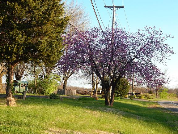 View of one of our entrance. We are a peaceful quiet communi