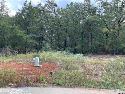 Cedarpark Pl Lot 22, Lindale, TX, 75771