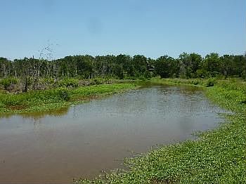 4th image of 1751 Vz County Road 1925