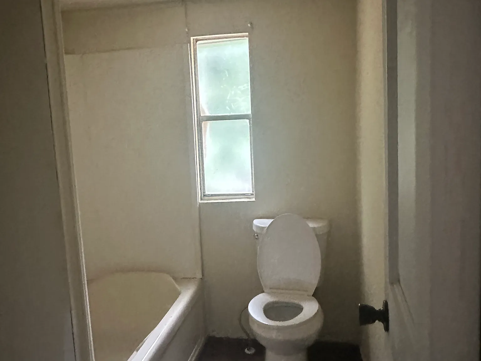 2 bed, 900 sqft, $1,100 — Photo 3