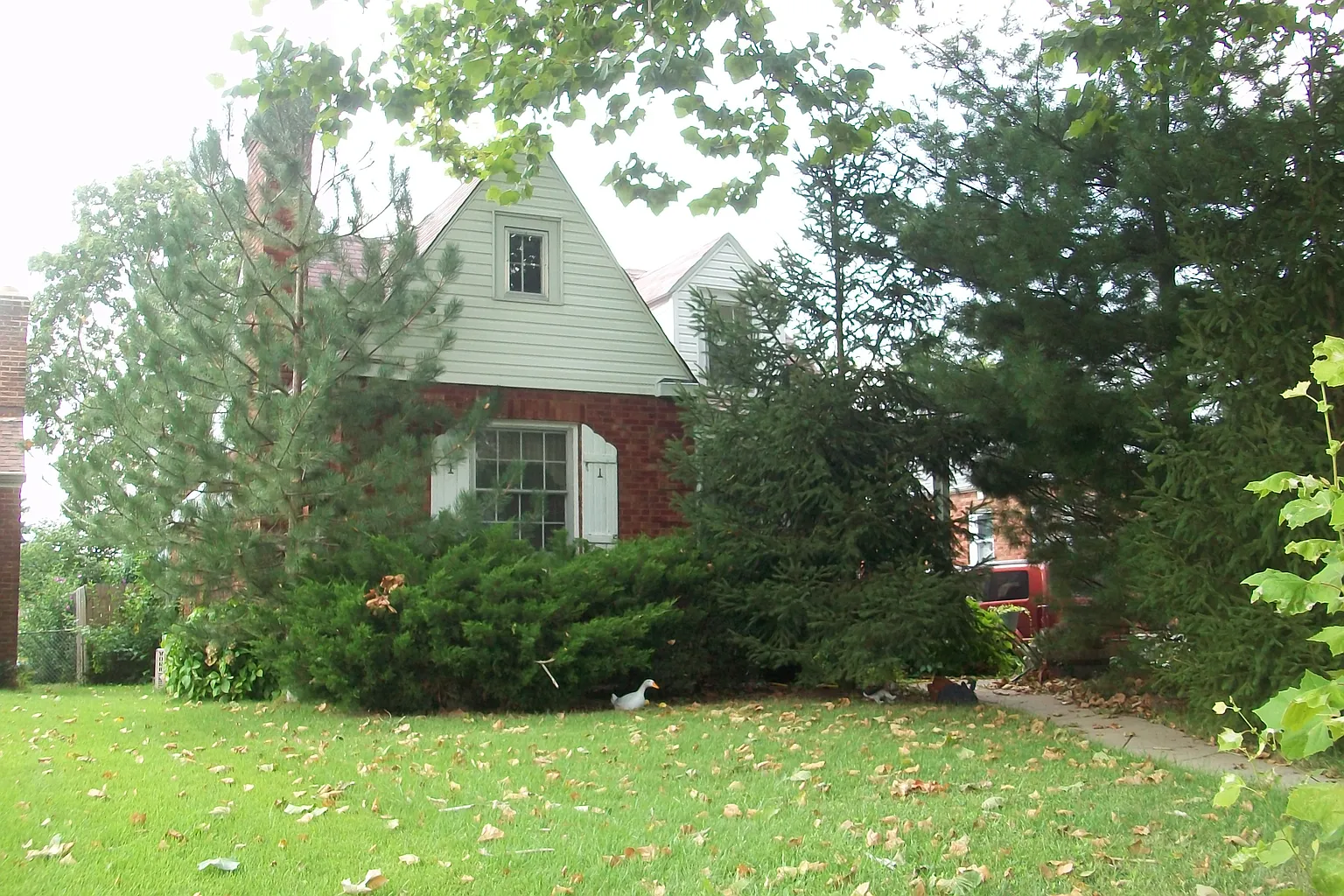 9010 Lackland Rd photo 1