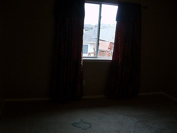 3rd image of 2518 Comal Dr