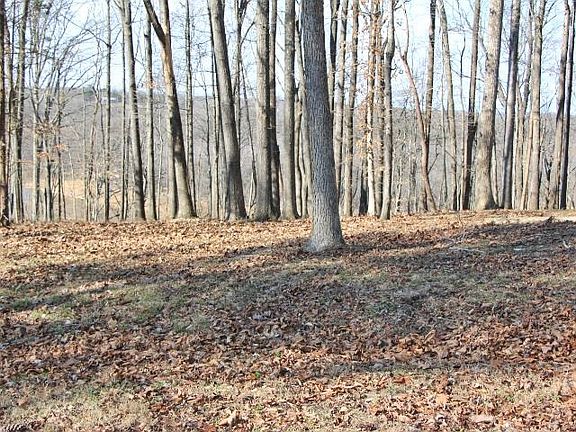 5th image of LOT-41R Runaway Dr