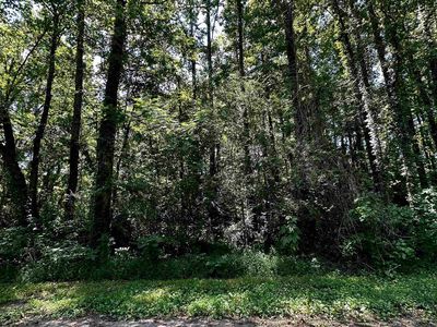 13 Kristi Ln, Grant, AL, 35747