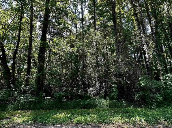 13 Kristi Ln, Grant, AL 35747