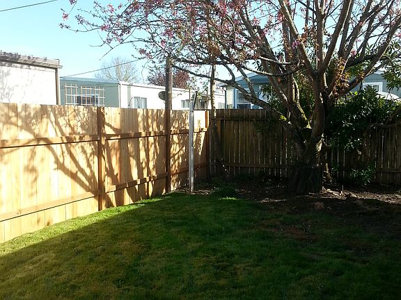 Fenced backyard