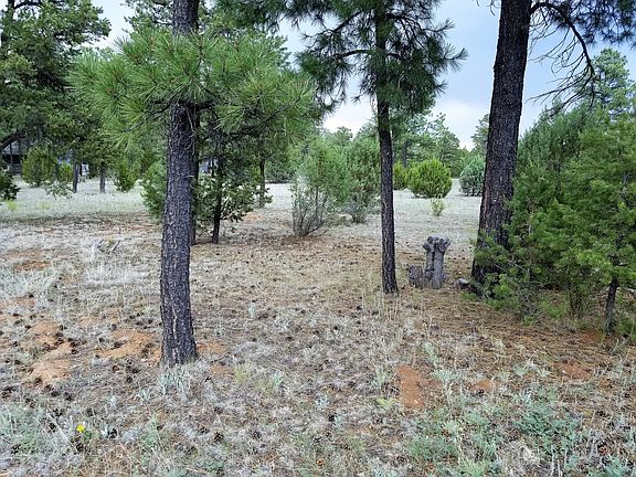 5th image of 2981 S Wapiti Dr