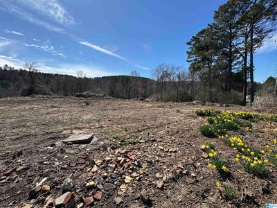 0 Columbus Blvd #0, Cordova, AL, 35550