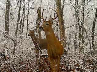 14094 Three Mile Rd LOT A, Thomson, IL 61285