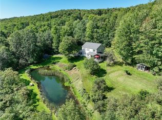 258 Braymer Ln, Delhi, NY 13753