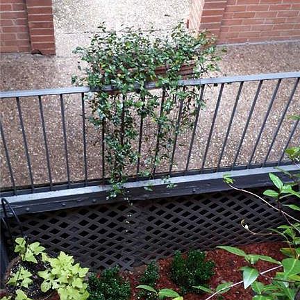 5th image of 518 E Avenue J APT D