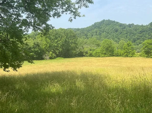 10230 Russett Rd, Stumptown, WV 25267