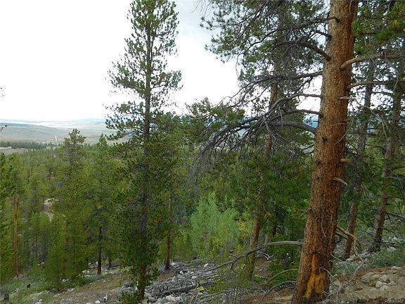 4th image of 465 Mount Elbert Dr