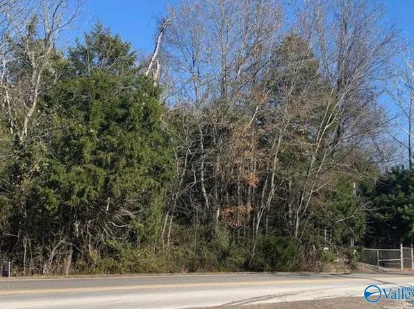 4645 Main Dr, New Hope, AL 35760