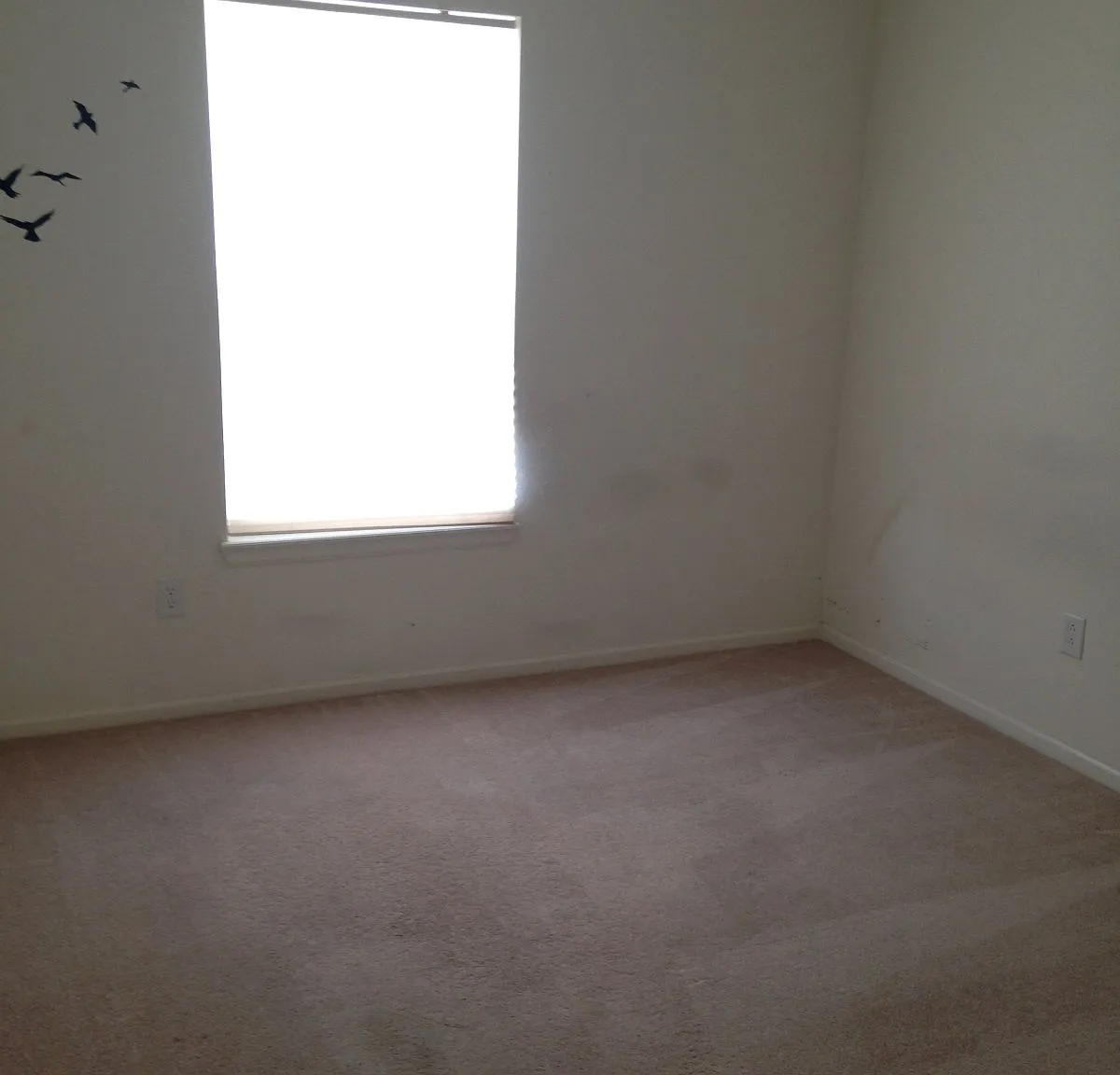 3 bed, 2.5 bath, 1568 sqft, $2,450 — Photo 2