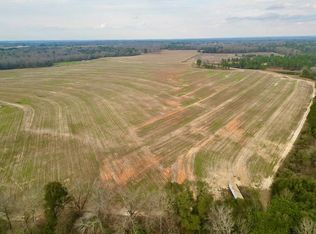 3 County Road 3324, Brundidge, AL 36010