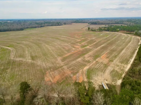 3 County Road 3324, Brundidge, AL 36010