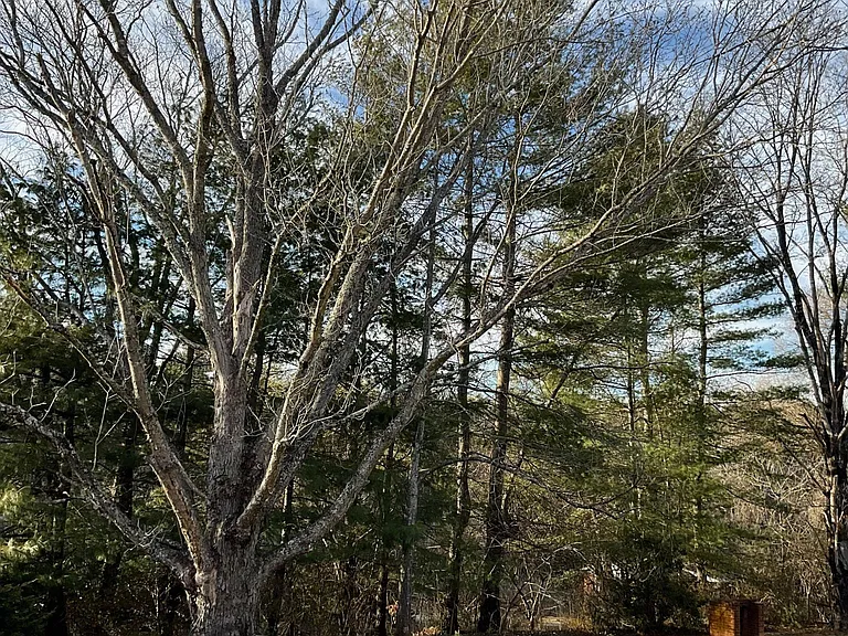 N Buncombe School Rd — Photo 2