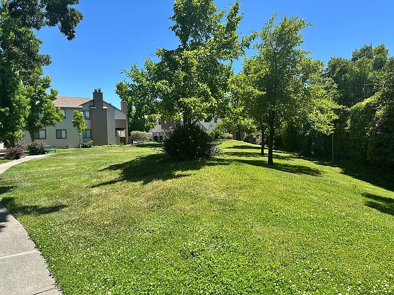Westberry Dr — Photo 5