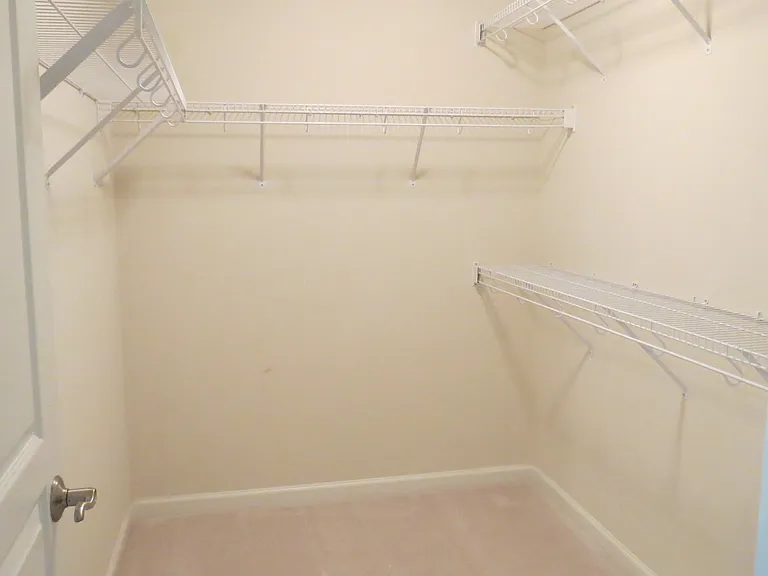 4484 Black Ironwood Dr — Photo 27