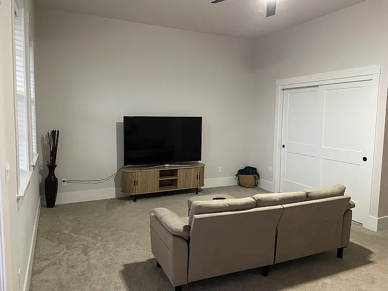 Bonus/family room